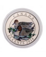 2014 25-Cent Coloured Coin – Ducks of Canada – Pintail
