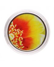 2013 25-Cent Coloured Coin – Magnified Beauty: The Eastern Prickly Pear Cactus