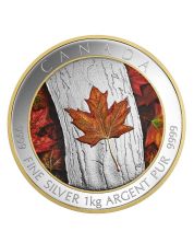 2016 Canada $250 1 Kilo Pure Silver Colour Proof Coin Autumn Maple Leaf RCM