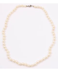 Cultured Pearl necklace 62 x good colour 5.4-5.9mm 10K wg clasp  