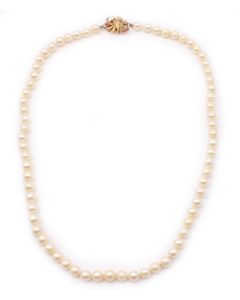 Akoya Pearl necklace 14K yg ornate clasp 