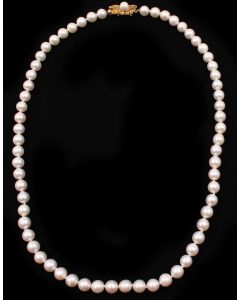 AKOYA 64 Pearl necklace 20 inch 7-7.5mm cream/pink 14K with appraisal $2,100. 