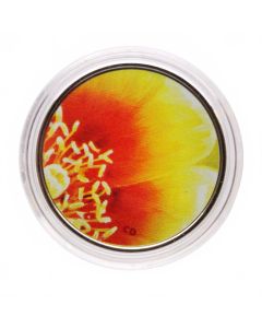 2013 25-Cent Coloured Coin – Magnified Beauty: The Eastern Prickly Pear Cactus