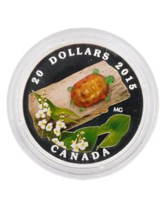 2015 Canada $20 Venetian Glass Turtle Silver Coin Proof with Box COA