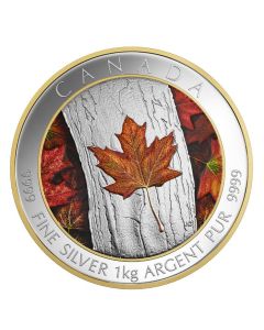 2016 Canada $250 1 Kilo Pure Silver Colour Proof Coin Autumn Maple Leaf RCM