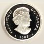 2005 Canada $20 Silver Proof Coin 
