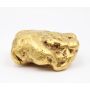 311.5 gram Placer Gold Nugget from Atlin British Columbia Extremely Rare