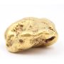 311.5 gram Placer Gold Nugget from Atlin British Columbia Extremely Rare