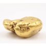 311.5 gram Placer Gold Nugget from Atlin British Columbia Extremely Rare