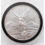 2010 Mexico Libertad 1 oz Mexican 999 pure Silver Coin Onza Plata Pura Ley .999
