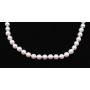 AKOYA 64 Pearl necklace 20 inch 7-7.5mm cream/pink 14K with appraisal $2,100. 