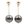Tahitian Black Pearl Earrings 11.60mm + 11.80mm 18K yg with appraisal $2600.00