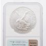 2023 American Silver Eagle MS70 NGC U.S. Invention Series Swimming Flippers Label 