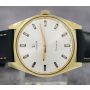 Omega Geneve Ref. 135.041 Cal. 601 Silver Dial Gold-Plated 34mm Mens Watch