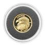 2013 Canada Gold Bald Eagle 50 Cent Coin .9999 Pure Fractional Proof