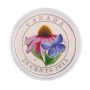2013 25-Cent Coloured Coin – Purple Coneflower and Eastern Tailed Blue
