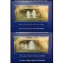 Worlds first gold silver banknotes Saga of treasure ships & pirates 