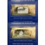 Worlds first gold silver banknotes Saga of treasure ships & pirates 