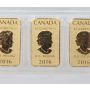 2016 Canada 5 x 1/10 oz 9999 Pure Gold Bars Royal Canadian Mint 1/2 oz pure gold