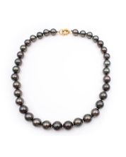 Tahitian Black Pearl necklace 35X 11.15mm-13.40mm pearls 18 inch with appraisal $12,800.