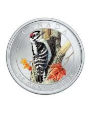 2008 Canada 25 Cents Coloured Coin - Downy Woodpecker