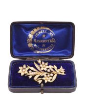 Antique 15K Seed pearl yg Brooch 2.25 inch 5.8 grams with appraisal $2800.00