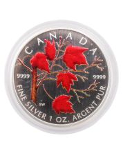 2004 Canada $5 Silver Maple Leaf Coloured Coin 1 oz .9999 