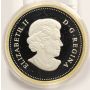 2013 CANADA $1 Silver Dollar - celebrates the arctic expedition Gold Plated