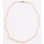 Cultured Pearl necklace 62 x good colour 5.4-5.9mm 10K wg clasp  