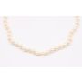 Cultured Pearl necklace 62 x good colour 5.4-5.9mm 10K wg clasp  