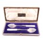 Victorian Jam Spoons Mother of Pearl  Kerr & Phillips Glasgow original box