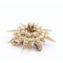 Seed Pearl Sun Burst Brooch 14K 