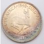 1948 South Africa 5 Shillings Springbok large silver coin toned Choice UNC