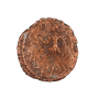 Ancient Roman Copper Sestertius Coin c. 69-79 AD  Shipwreck Recovery - With Robert F Marx COA