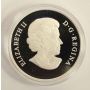 2009 $20 Fine Silver Coin - The Jubilee