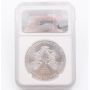 2011 Silver Eagle 1$ NGC MS 69 Early Releases 25th Anniversary 