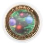 2x 2007 to 2011 Canada 50c Holiday Lenticular Coins RCM Christmas Theme coins