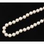 AKOYA pearls 28 inch strand (84) pink/cream rose 14K w/appraisal $3200.00