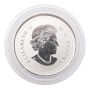 2020 Canada $5 Moments To Hold: Remembrance Day - Pure Silver Coin