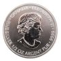 2013 Canada $5 Fine Silver Coin - Devil's Brigade 