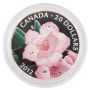 2012 Canada $20 Fine Silver Coin - Rhododendron