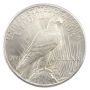 1925 Peace silver dollar Choice UNC