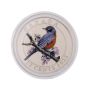 2013 25-Cent Coloured Coin – American Robin