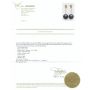 Tahitian Black Pearl Earrings 11.60mm + 11.80mm 18K yg with appraisal $2600.00